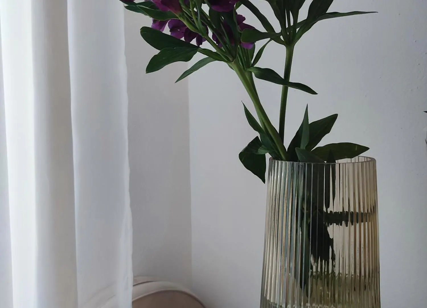 Apartmán Apartman Tera Dobreć